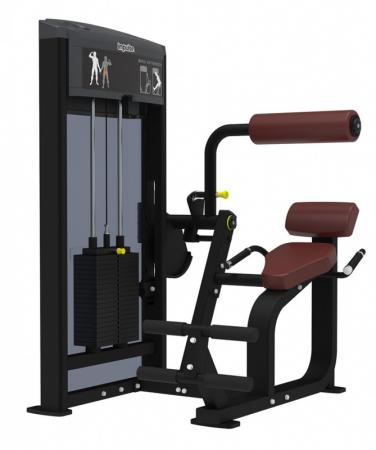 Máy tập cơ bụng Impulse IF9332